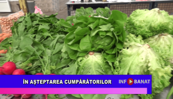 În așteptarea cumpărătorilor