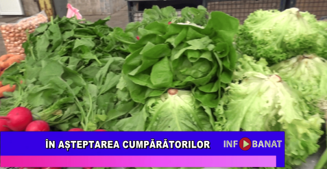 În așteptarea cumpărătorilor