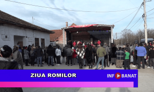 Ziua Romilor