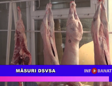Măsuri DSVSA
