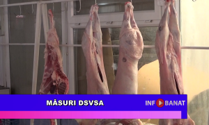 Măsuri DSVSA