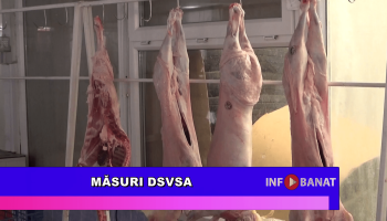 Măsuri DSVSA