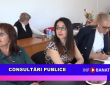 Consultări publice
