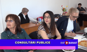 Consultări publice