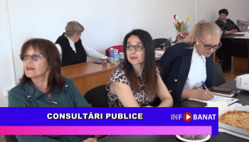 Consultări publice