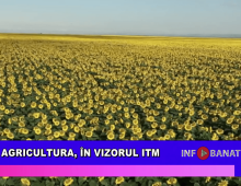 Agricultura, în vizorul ITM