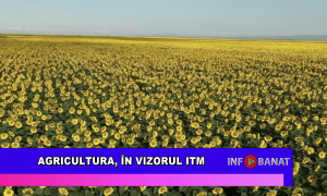 Agricultura, în vizorul ITM