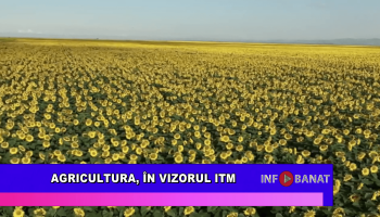 Agricultura, în vizorul ITM