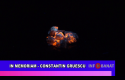 In memoriam  – Constantin Gruescu