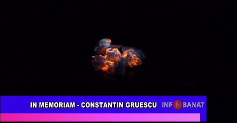 In memoriam  – Constantin Gruescu