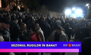 Sezonul rugilor în Banat