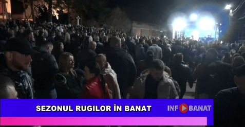 Sezonul rugilor în Banat