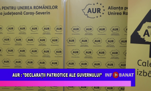 AUR: declarații patriotice ale Guvernului