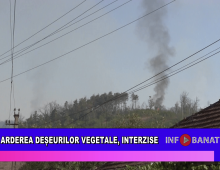 Arderea deșeurilor vegetale, interzise