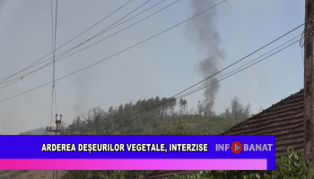 Arderea deșeurilor vegetale, interzise