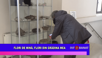 Flori de mină, flori din grădina mea