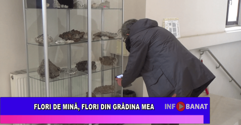 Flori de mină, flori din grădina mea