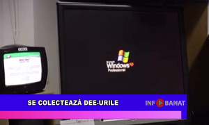Se colectează DEE-urile