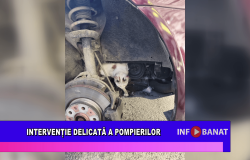 Intervenție delicată a pompierilor