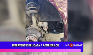Intervenție delicată a pompierilor