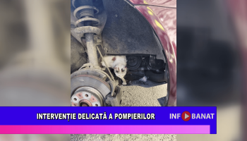 Intervenție delicată a pompierilor