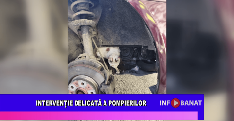 Intervenție delicată a pompierilor