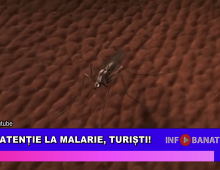 Atenție la malarie, turiști!