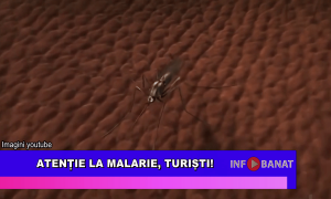 Atenție la malarie, turiști!