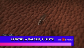 Atenție la malarie, turiști!