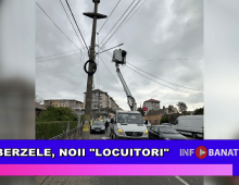 Berzele, noii locuitori