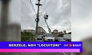 Berzele, noii locuitori
