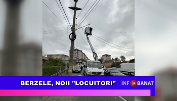 Berzele, noii locuitori