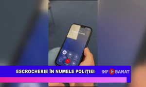 Escrocherie în numele Poliției