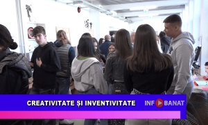 Creativitate și inventivitate