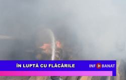 În luptă cu flăcările
