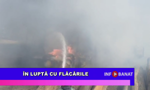 În luptă cu flăcările