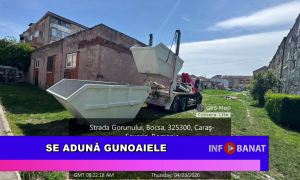 Se adună gunoaiele