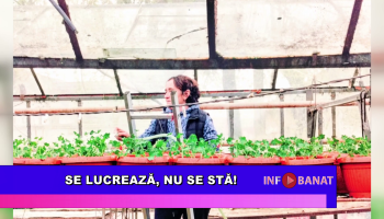 Se lucrează, nu se stă!