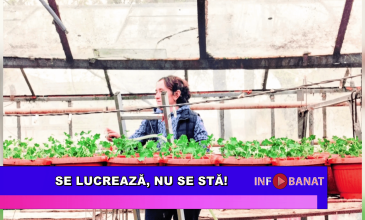 Se lucrează, nu se stă!