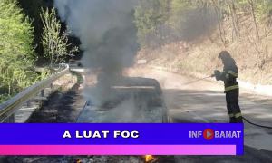 A luat foc
