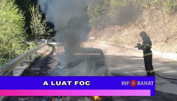 A luat foc