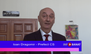 Când demisionează prefectul?