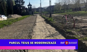 Parcul Teiuș se modernizează