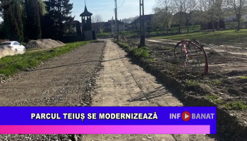 Parcul Teiuș se modernizează
