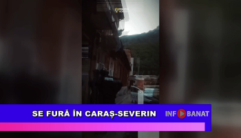 Se fură în Caraș-Severin