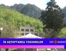 În așteptarea yoghinilor