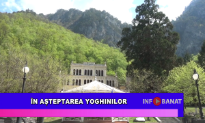 În așteptarea yoghinilor