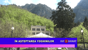 În așteptarea yoghinilor