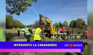 Intervenții la Caransebeș