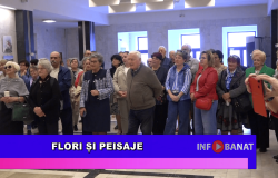 Flori și peisaje